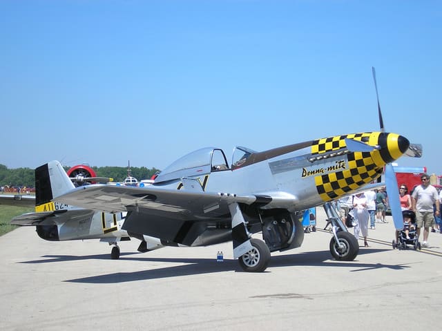  - Warbird