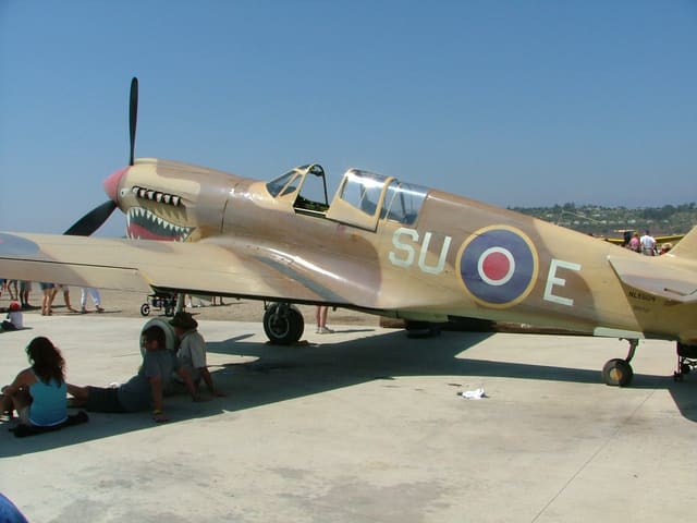 N94466 - Warbird