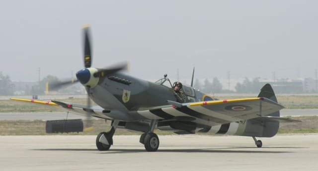  - Warbird