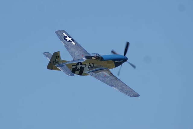  - Warbird