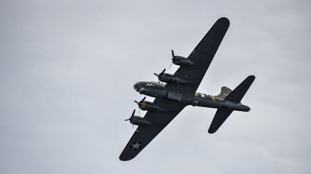  - Warbird