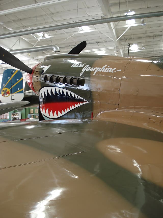  - Single-engine aircraft