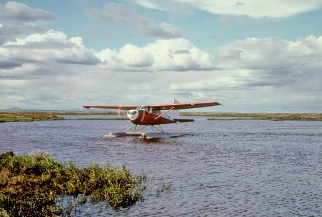 N740 - Single-engine aircraft