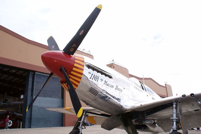  - Warbird