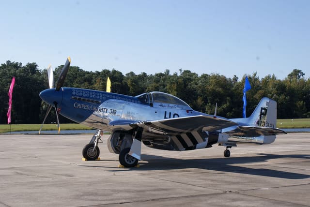  - Warbird