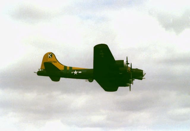  - Warbird