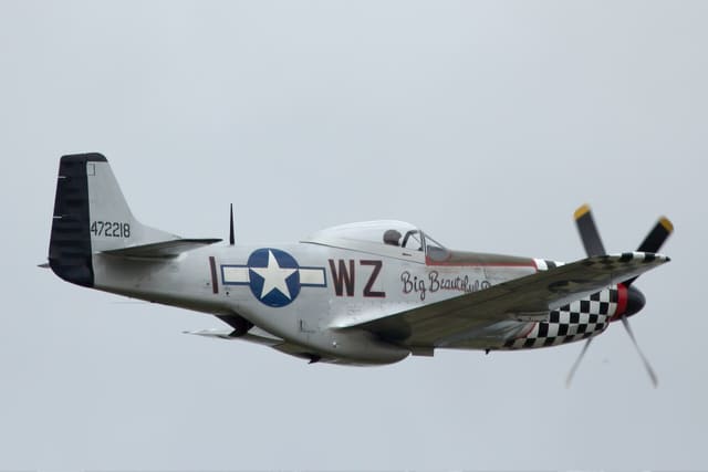  - Warbird