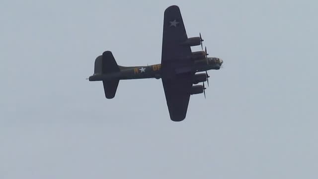  - Warbird
