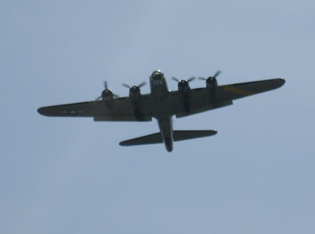  - Warbird