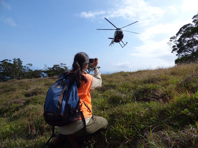 N811WA - Helicopter