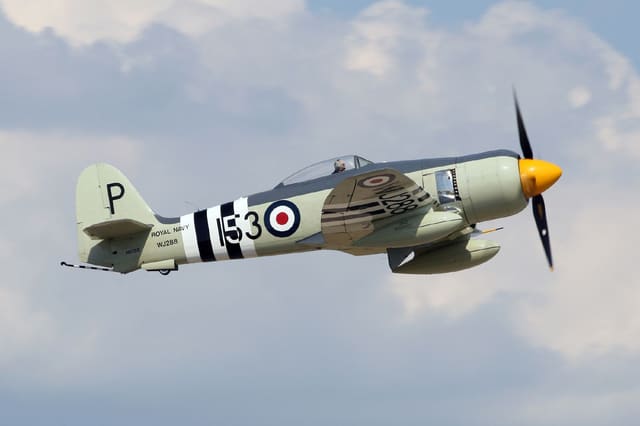  - Warbird