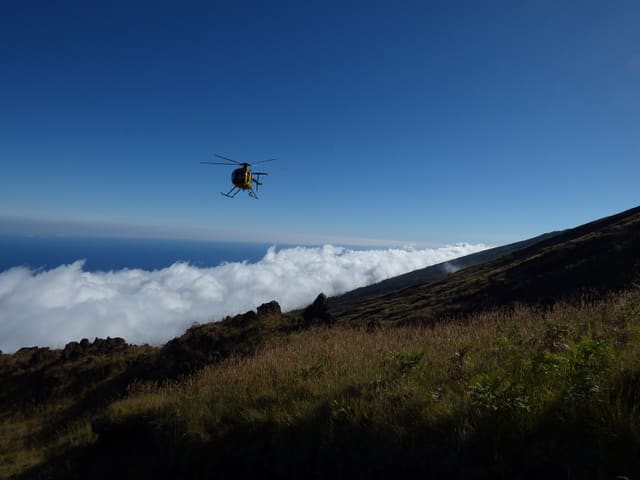 N58251 - Helicopter