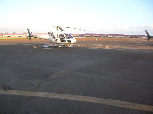 N406AM - Airbus