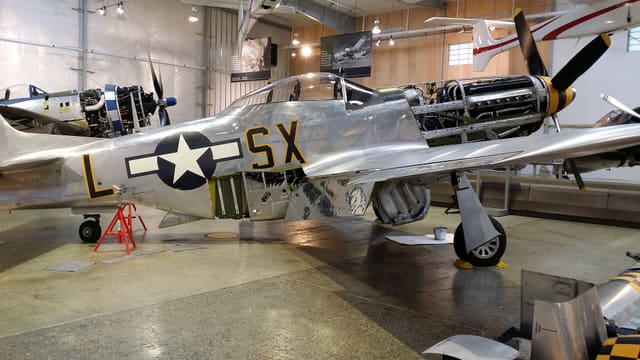  - Warbird
