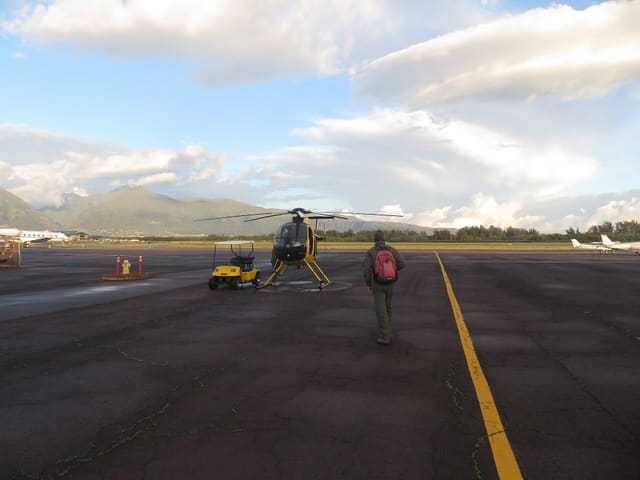 N809WA - Helicopter
