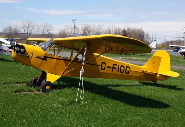 C-FICC - Piper