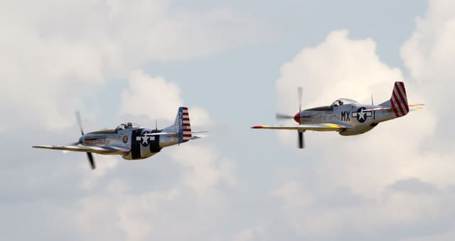  - Warbird