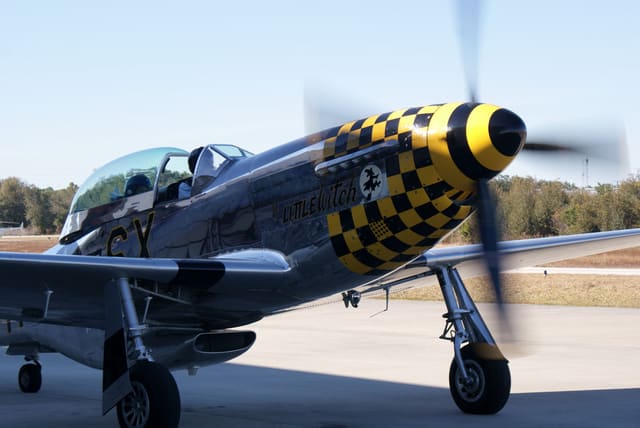  - Warbird
