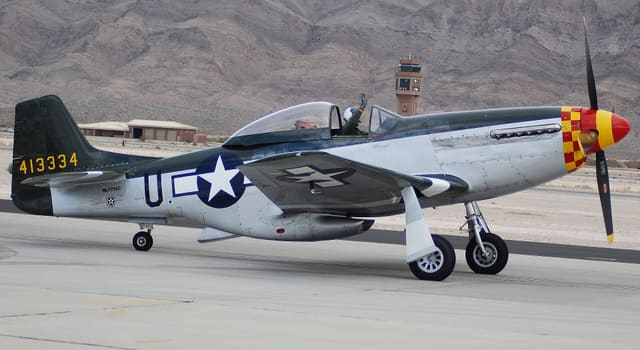  - Warbird