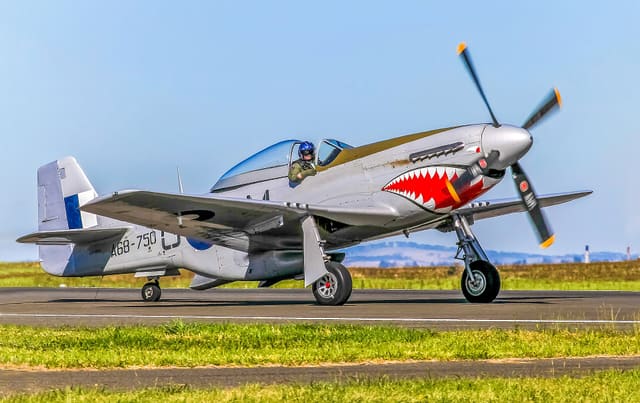  - Warbird