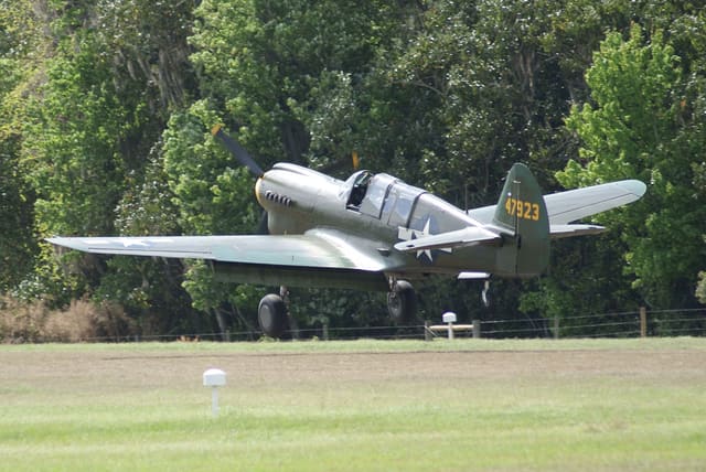  - Warbird