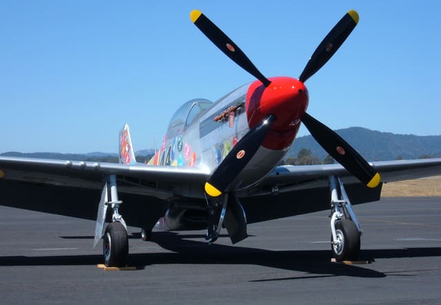  - Warbird