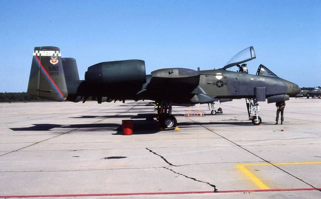  - Warbird
