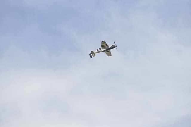  - Warbird