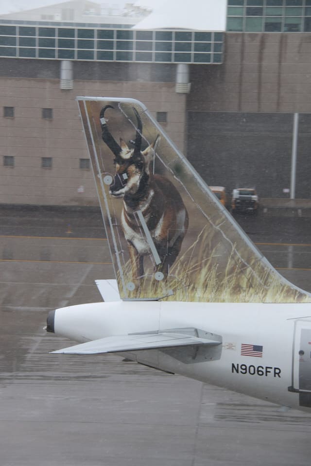 N906FR - Aircraft