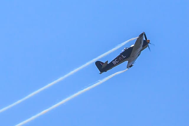  - Warbird