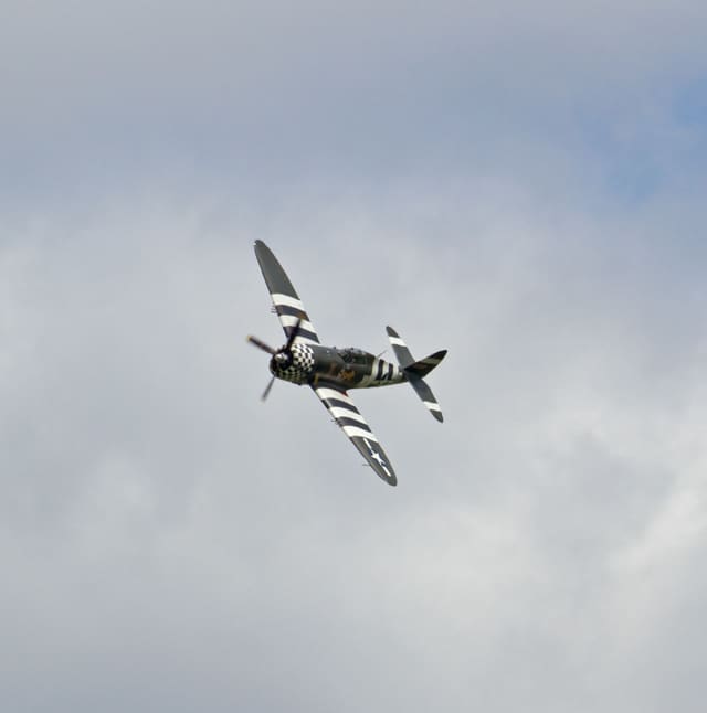  - Warbird