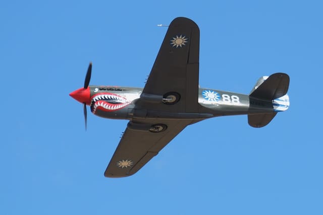  - Warbird