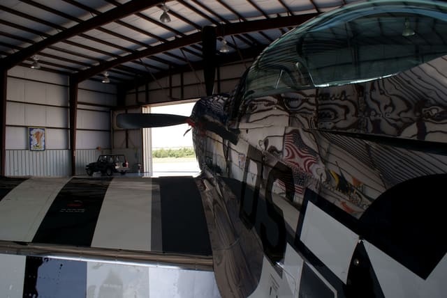  - Warbird