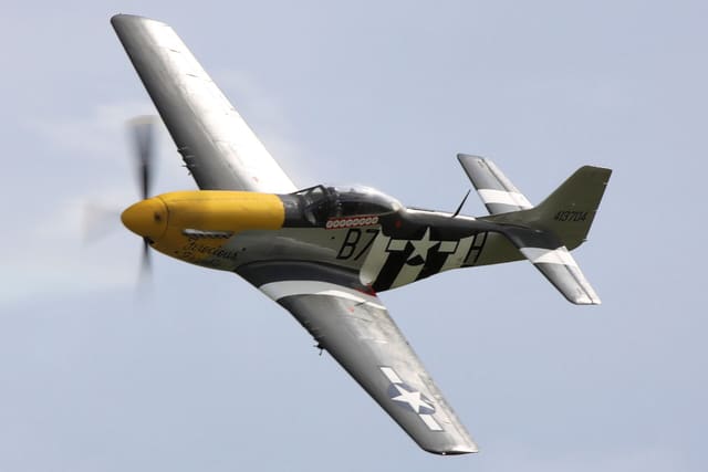  - Warbird