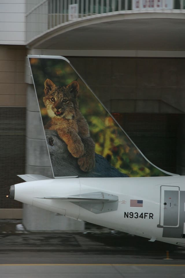 N934FR - Aircraft