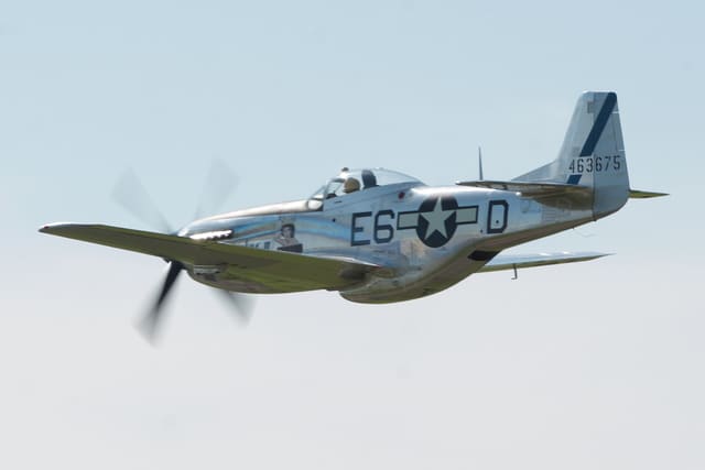 N1751D - Warbird