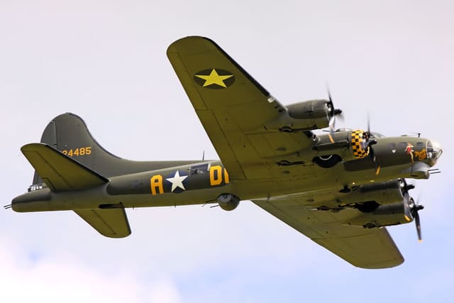  - Warbird