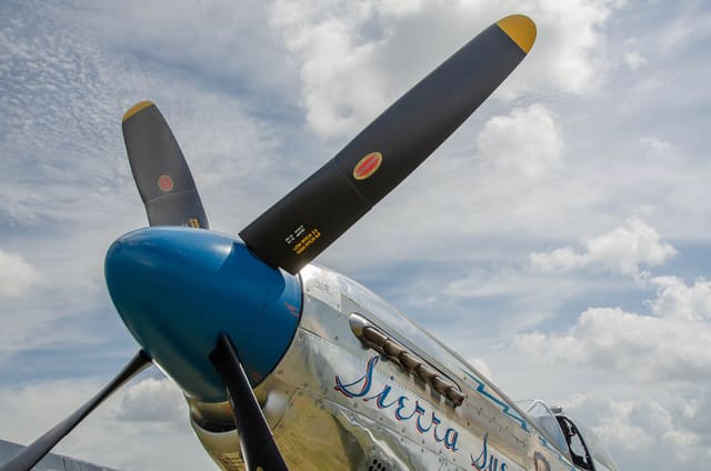 N1751D - Warbird