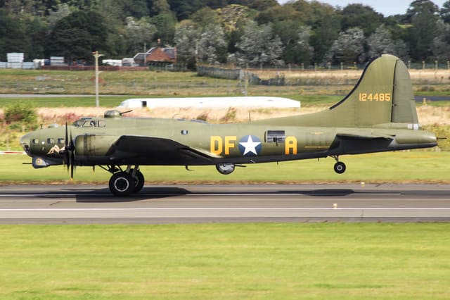  - Warbird