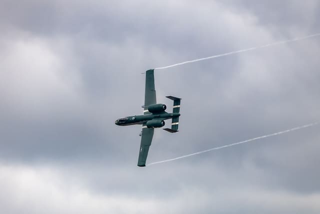  - Warbird