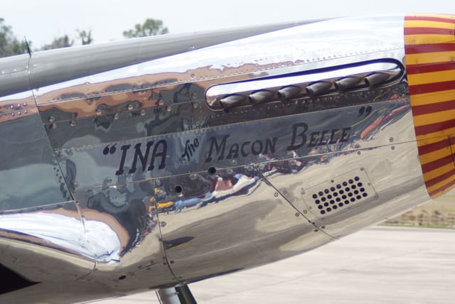  - Warbird