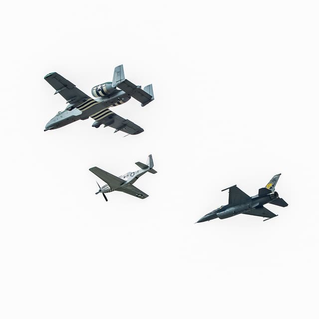  - Warbird