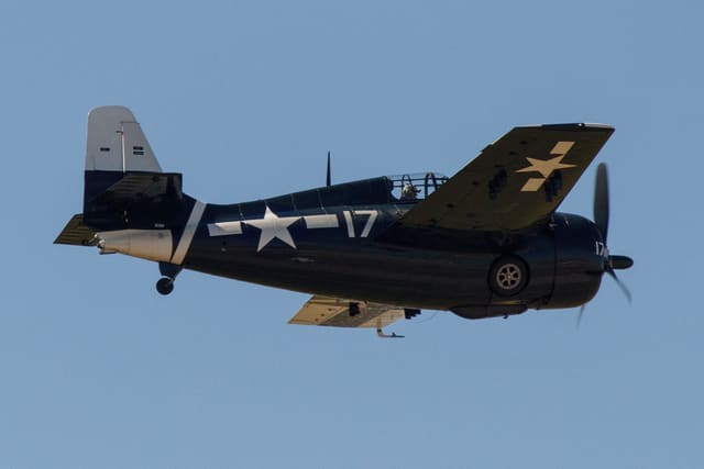  - Warbird