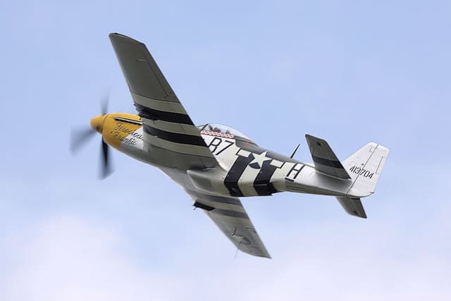  - Warbird