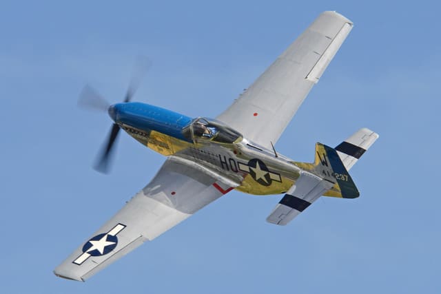  - Warbird