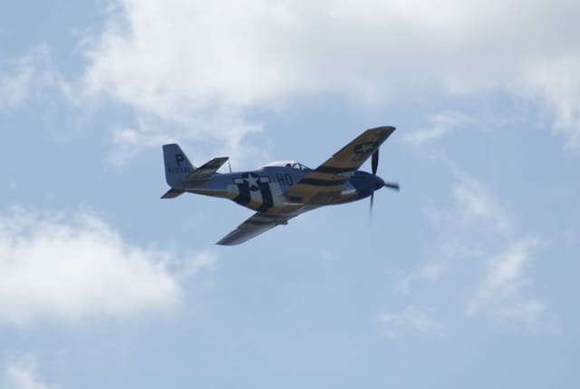  - Warbird