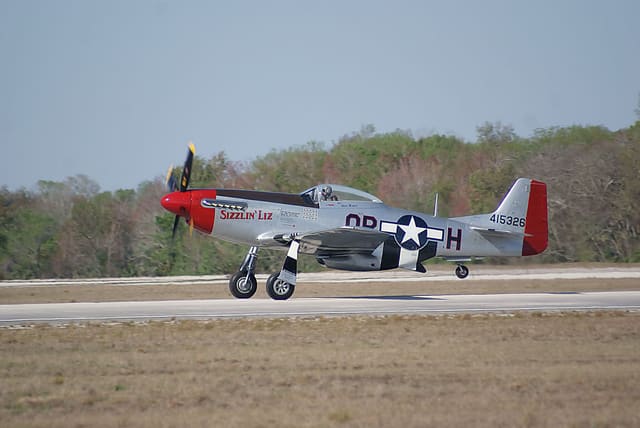  — Warbird