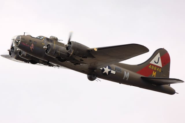  - Warbird