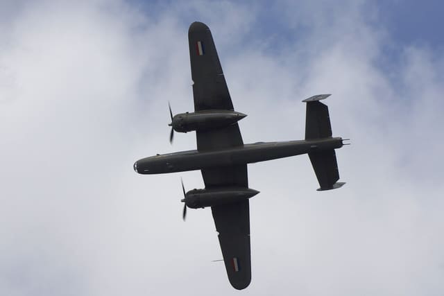 N5 - Warbird