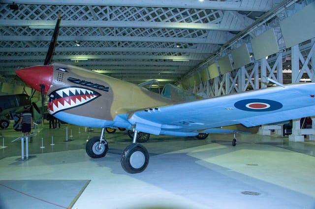  - Warbird
